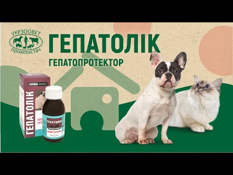 Відео превʼю