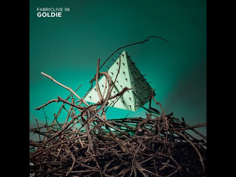 LENZMAN ft. RIYA - Open Page (Subwave Remix)