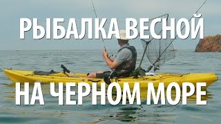 Рыбалка на побережье черного моря краснодарского края карта