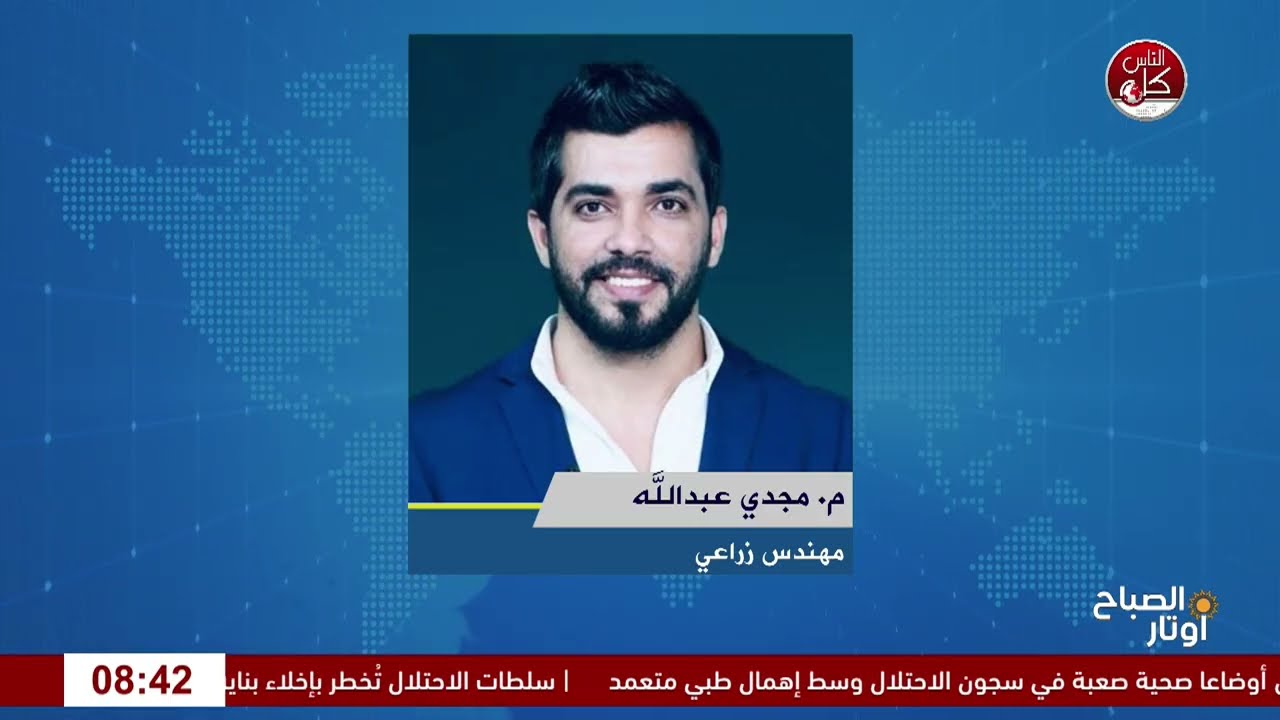 زيت الزيتون بين الأصالة والغش: معايير التمييز والتحقق