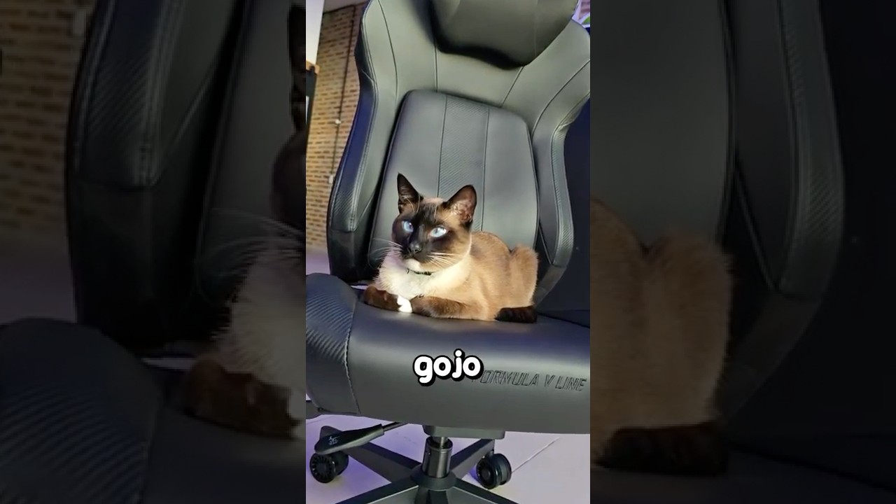 La silla gamer SOÑADA para tu setup