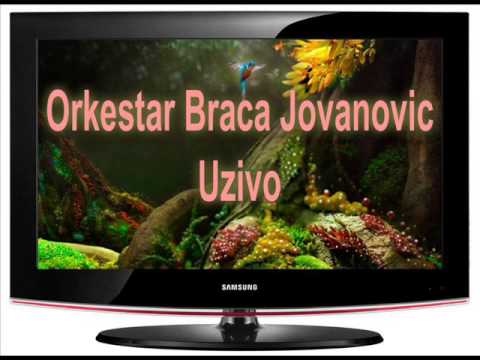 Braca Jovanovic UZIVO
