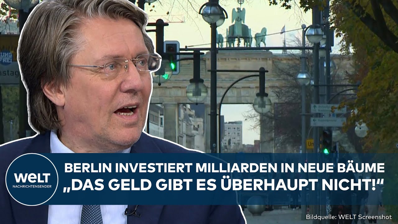 BERLIN: Sondervermögen für Bäume! Knallharte Analyse zum Klimagesetz von CDU, SPD, Grünen und Linken