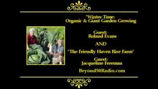 Winter Garden At Friendly Haven Rise Farm