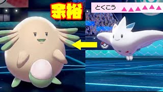 あの技を使った「要塞型ラッキー」が強すぎたw[ポケモン剣盾]