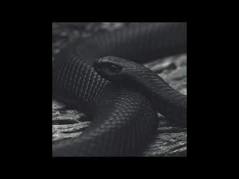 [Free] Pyrex Whippa x Southside x Young Thug Type Beat "Go Get It"