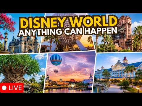 Live webcam of Disney Parks with Love