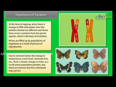 Aadhar Institute Chandigarh Video 1