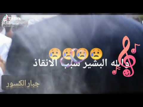 أسد افريقيا