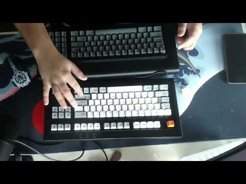 Unicomp Model M SSK reproduction VS Ellipse Model F77 reproduction