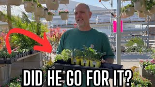 Early Garden Prep! Searching for Tomato & Pepper Plants + Raised Bed Inspiration