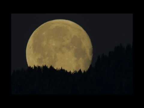 Konrad Urban singt Schubert: Abendlied, D. 499 - Der Mond ist aufgegangen