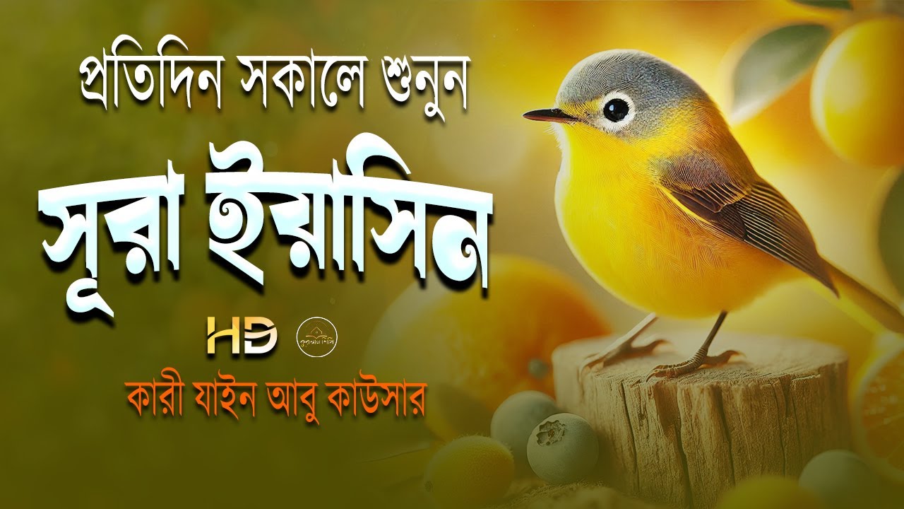 সকালের শ্রেষ্ঠ আমল _ সুরা ইয়াসিন - Surah Yaseen - سوره يس - Record by Zain Abu Kautsar