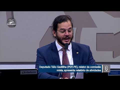 Comissão Mista sobre Migrações e Refugiados apresenta relatório final