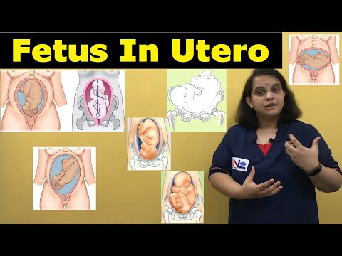 Fetus in Utero | Lie/Presentation/Attitude/Denominator/Presenting Part/Position | Nursing Lecture