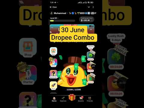 30 June Dropee Combo card 🔥 Today Dropee Combo lottery card | Dropee Airdrop New Update