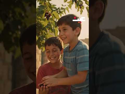 العطلة الصيفية في عام 2007 