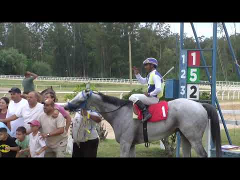 CARRERAS SINT MELO 6/2/26 | EN VIVO | URUGUAY