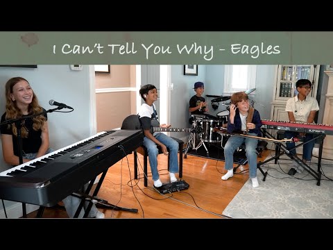 I Cant Tell You Why by @EaglesBand cover by The Graystones