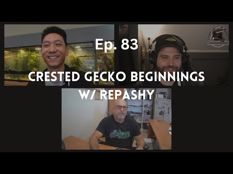 Crested Gecko Beginnings w/ Allen Repashy | Ep. 83 of The Gecko Pod