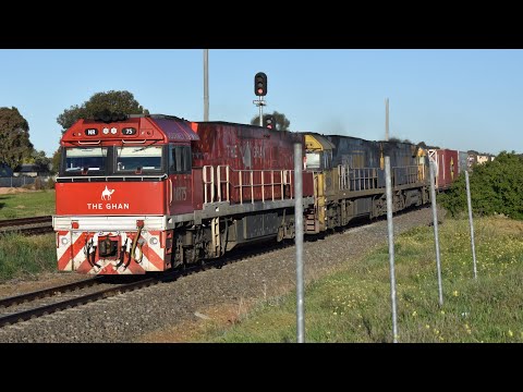 4AM5 Pacific National Intermodal 24/07/25