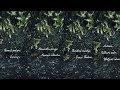 Thendral Vanthu Ennai Thodum Song Status Ilayaraja Status Full Screen Status Tamil
