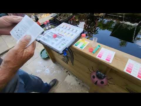 Colombo Test Kit and Tinkering with Pah's Tench Pond #koi #tench #koipond #ponds #tempest #koilovers