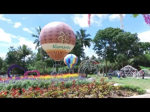 25 Jenis Bunga, di Alamanda Flowers Garden - NET YOGYA