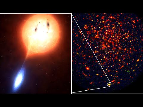 Serendipitous Discovery: New Magnetic Star System Unveiled by Spektr-RG and TESS data