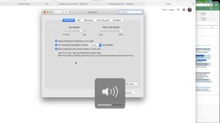 Volume Keys on Mac Don