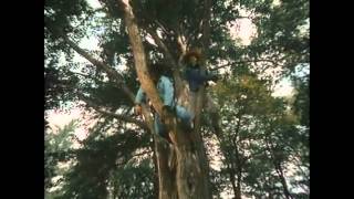 Junior Boys - A Truly Happy Ending (Diamond Rings Remix)