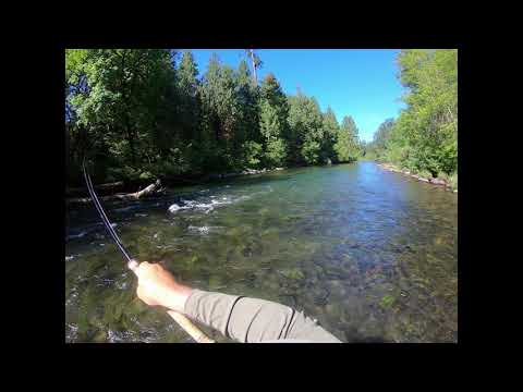 Trout Spey Fishing 6/17/2019