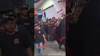 Download lagu Bantengan viral full mberot #jtv #malang mp3
