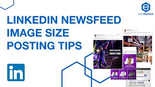 LinkedIn Image Size Posting Tips - Aspect Ratio & Dimension