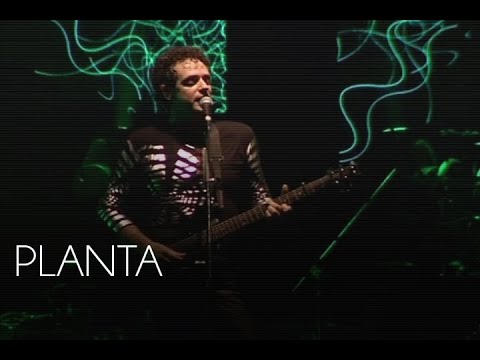 Gustavo Cerati - Planta (En Vivo) (Official Video)