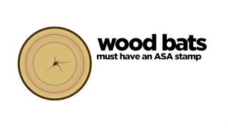 ASA, USSSA, NSA Fastpitch Softball Bat Rules - JustBats.com Buying Guide