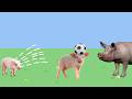 Real Life Peppa Pig Parody Episode 8
