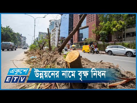 রাজধানীতে উন্নয়নের নামে বৃক্ষ নিধন | ETV News