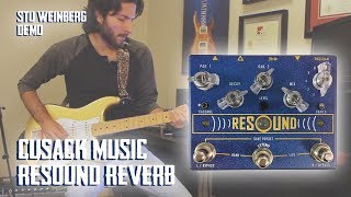 Video thumbnail for Cusack Music - Resound Reverb Demo by Stu Weinberg by Stu Weinberg