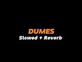 DUMES  -  Slowed + Reverb (Full Lirik)