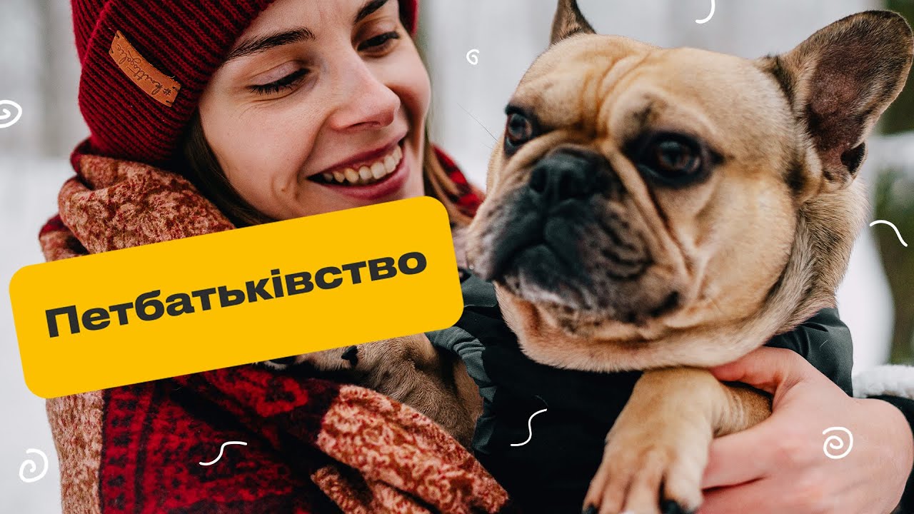 YouTube video preview