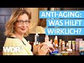 Hyaluron Vitamin C Retinol Haut Produkte Im Test Haushalts Check WDR