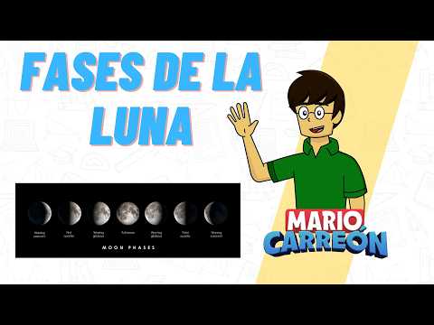 Fases de la Luna 🌑 🌓 🌗 🌕