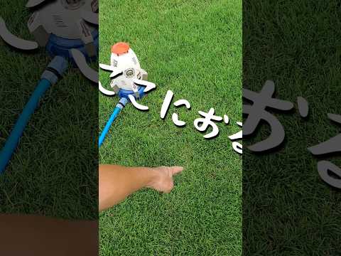 堆肥用の肥料ミミズはどこで見つけられますか?これらは、野生下で最も可能性の高い 6 つの隠れ場所です。  庭園