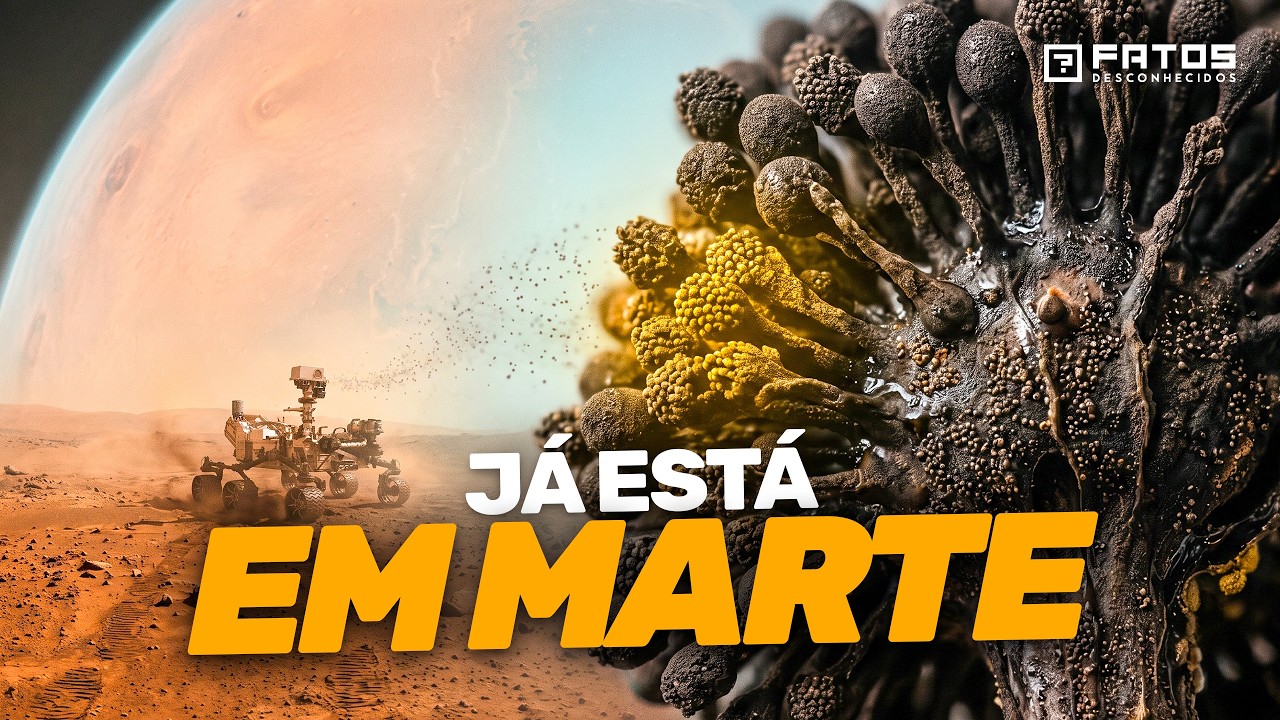 O Fungo que Preocupa a NASA chegou a Marte?