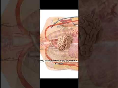 Ancient Egyptian believed that the mind was located in the heart #Short #History #Egyptian #Vertigo