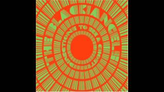 Science Killer by The Black Angels