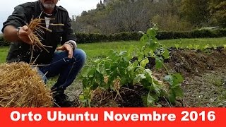 Anteprima video YouTube