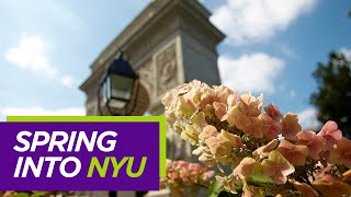 NYU Spring Admission