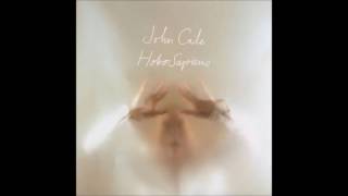 John Cale - HoboSapiens (Full Album) (2003)